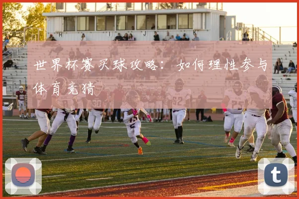 世界杯赛买球攻略：如何理性参与体育竞猜