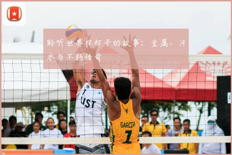聆听世界杯杯子的故事：金属、汗水与不朽传奇