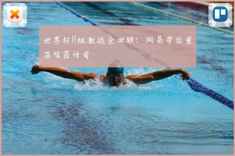 世界杯H组激战全回顾:网易带你重温绿茵传奇